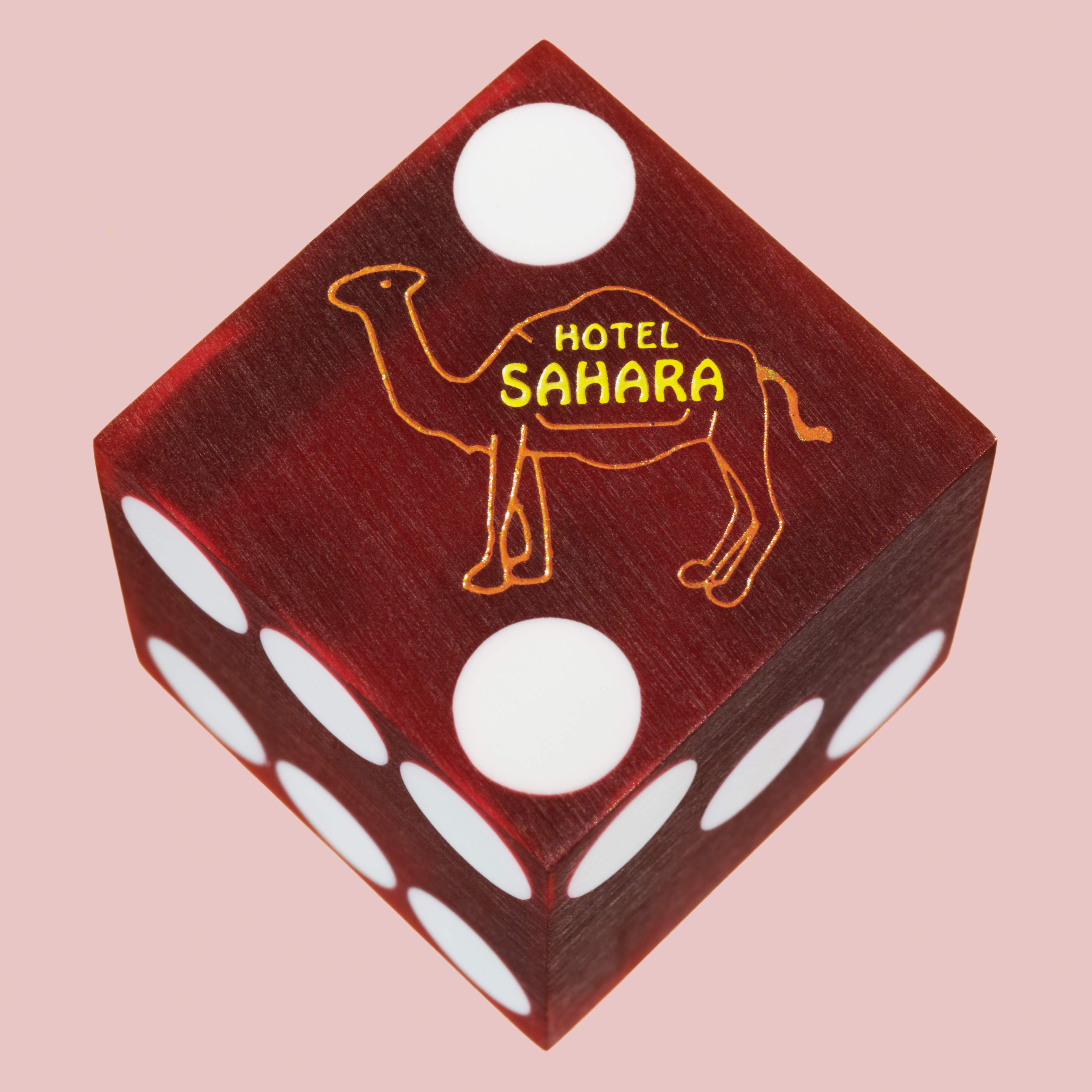 Hotel_Sahara_Camel_SFW_8Bit