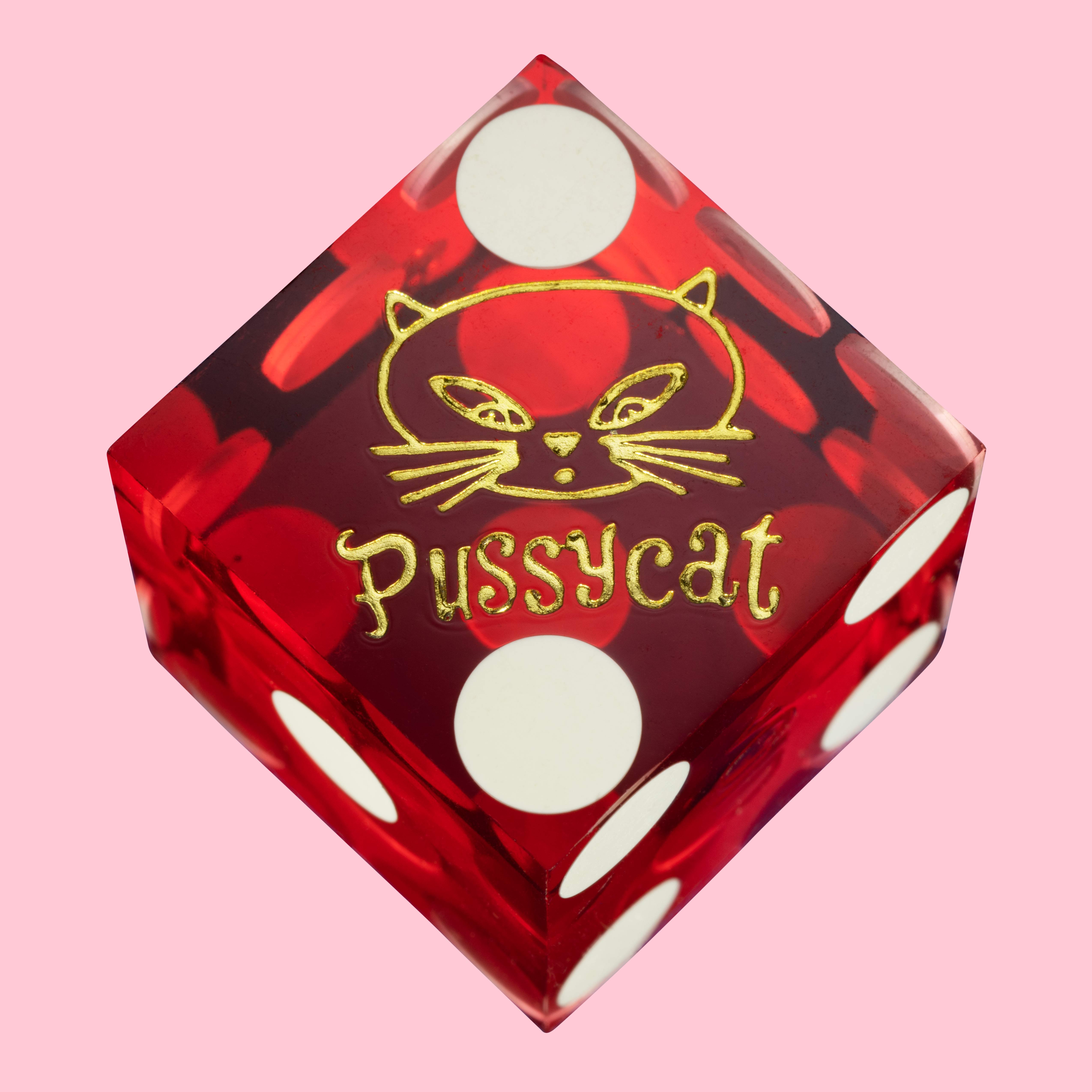 Pussycat_4634_SFW