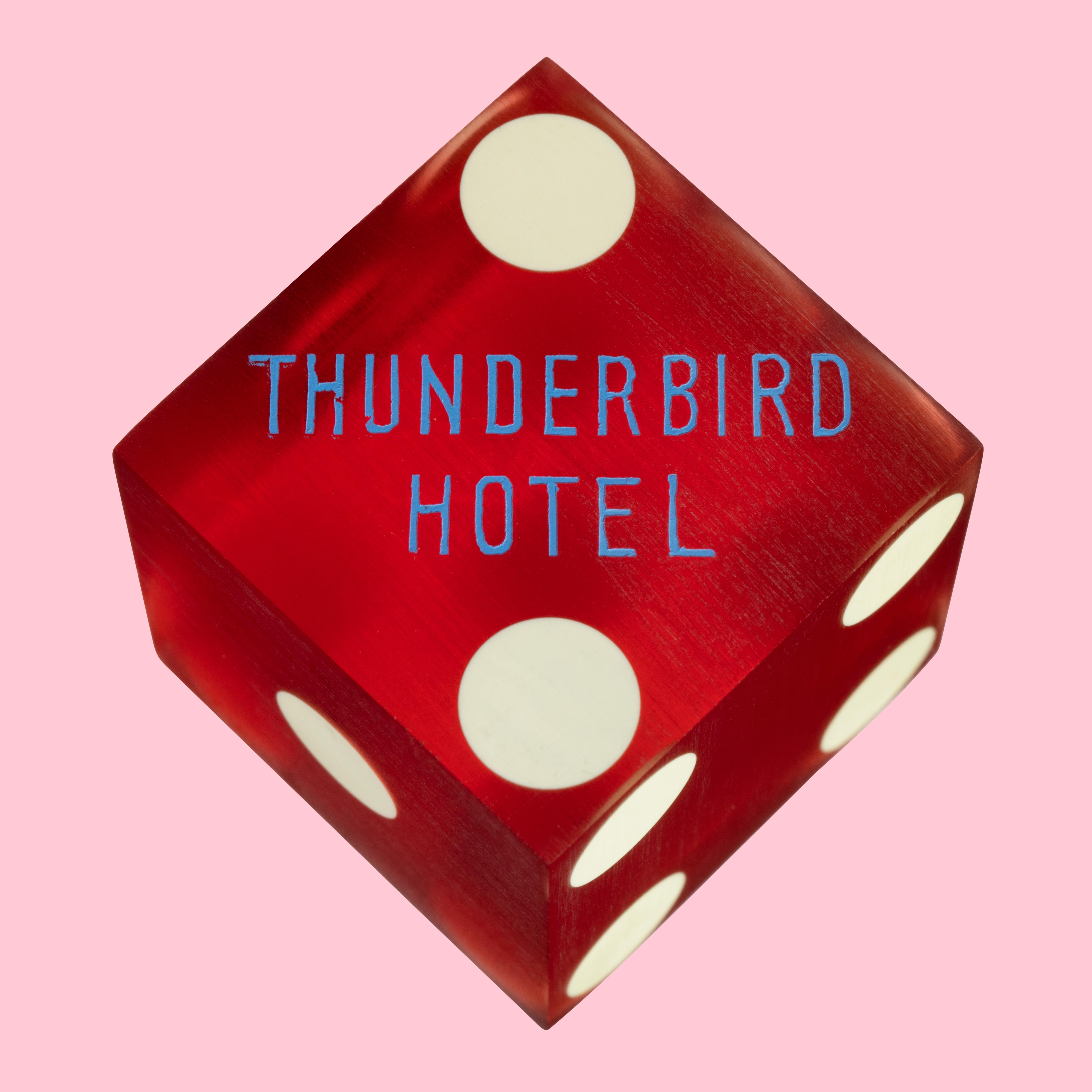Thunderbird_Hotel_4488_SFW_2